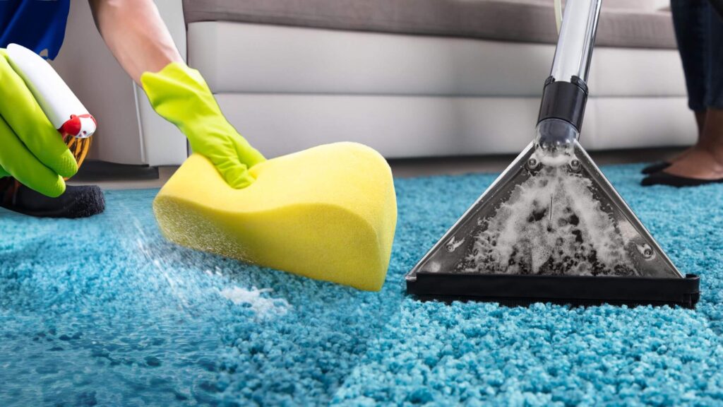 Are Professional Carpet Cleaners Really Better Than DIY?